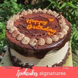 Chocolate Tiramisu 9"